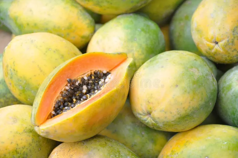Papaya